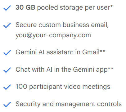 Google Workspace Business Subscription - Annual