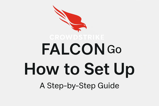 CrowdStrike Falcon Go logo with red falcon and text How to Set Up step-by-step guide